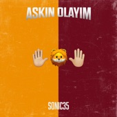 Askin Olayim artwork