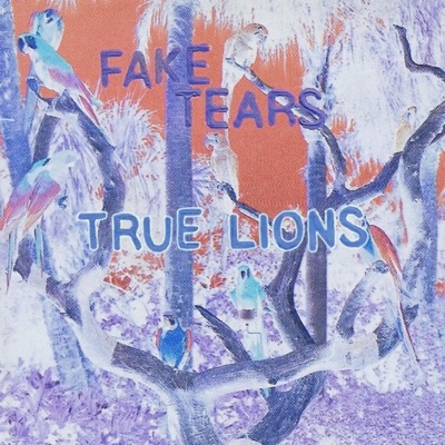 Fake Tears - Single