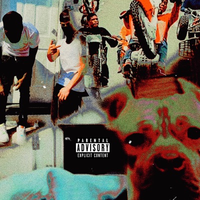 Bikelyfe Freestyle - Single