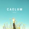 Caelum - Funkyzoo lyrics