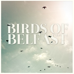 Birds of Belfast - Single