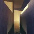 Injury Detail