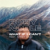 What If I Can't (feat. Mikey Dam) artwork