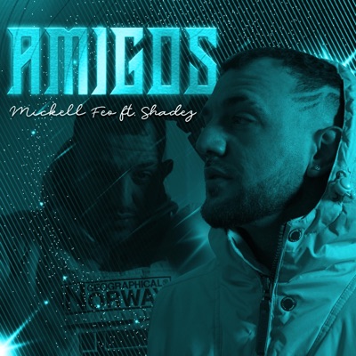 Amigos (feat. Shadez) [Radio Edit] [Radio Edit] - Single