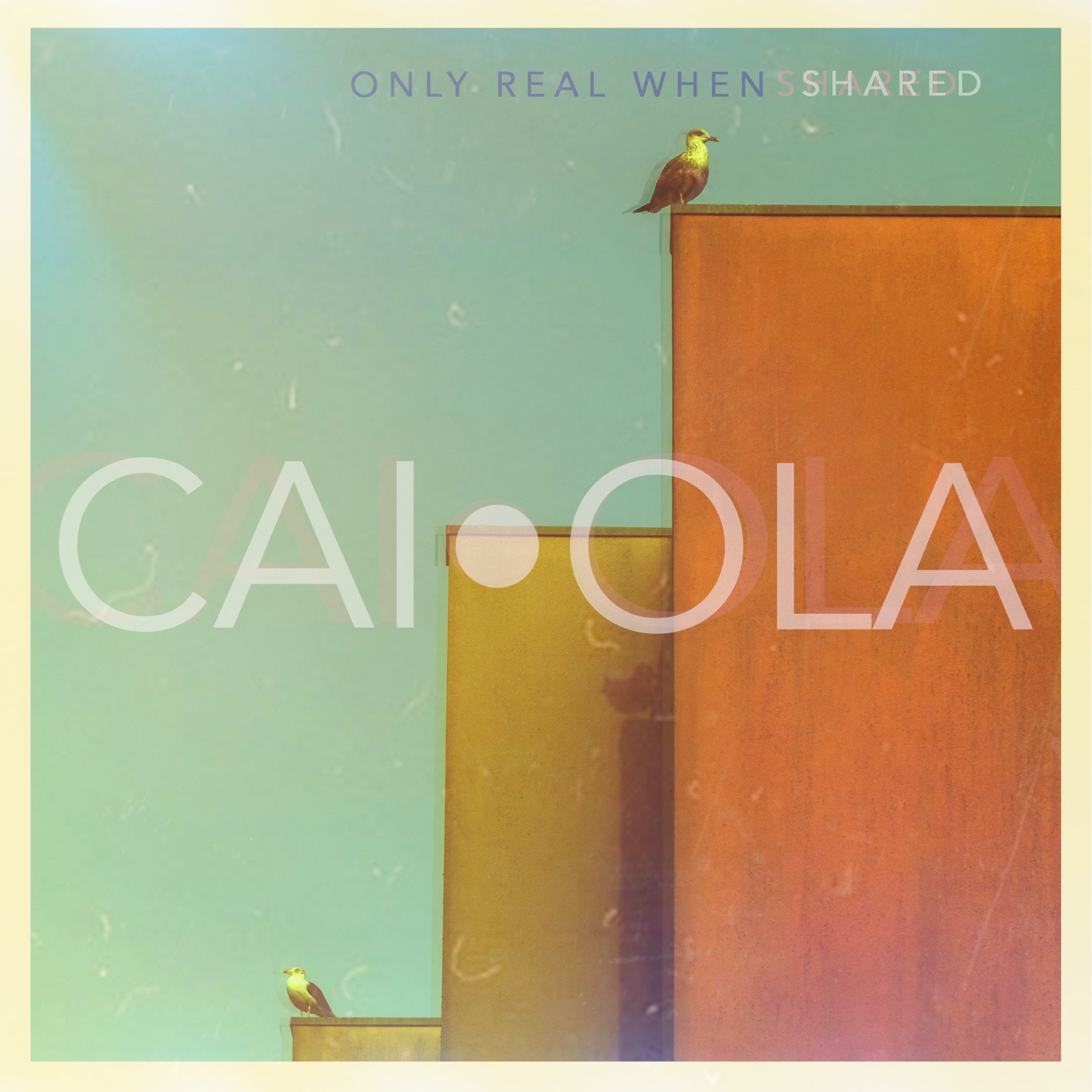 Only Real When Shared by Caiola