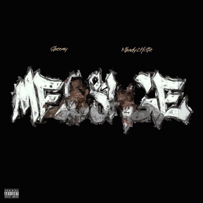 Message (feat. Mhady2hottie) - Single