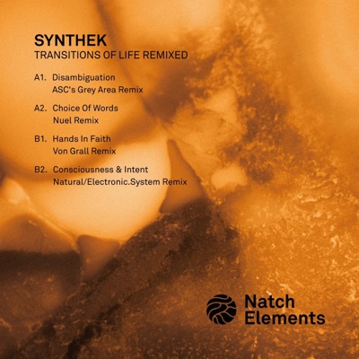 Transitions of Life Remixed - EP