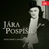 Richard Hervé Mamzelle Nitouche. Operetta: "Vstupní chanson Celestina - Jsem pro divadlo Floridor" Jára Pospíšil zpívá písnÄ z operet