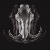 Buen viaje (feat. Febes) - Single - Dunna