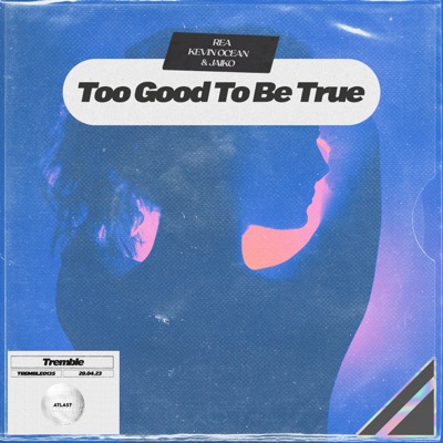 Too Good to Be True - Single