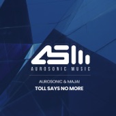 Toll Says No More (Radio Edit) artwork
