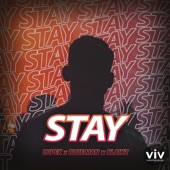 Stay artwork