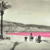 Haifa in a Tesla artwork