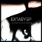 EXTASY (Delectro Remix) - Adriano Canzian lyrics