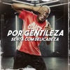 Por Gentileza, Senta Com Delicadeza - Single