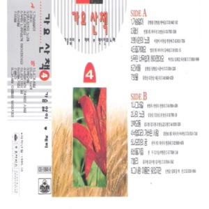 The Chinise Parasol Tree