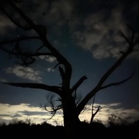 One Way (feat. Casket) - Single - Psyxch