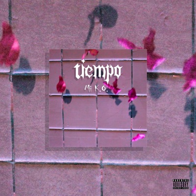 TIEMPO (feat. Kvshyyyk) - Single