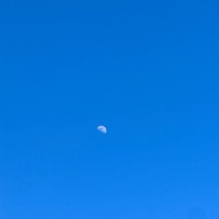 Dreamland - Single - Kxnvlulu