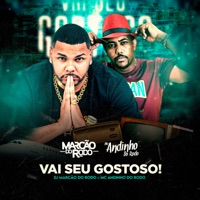Vai Seu Gostoso - Single - Mc Andinho do Rodo