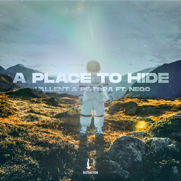 A Place To Hide (feat. NEQO) - Single