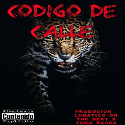 codigo de calle