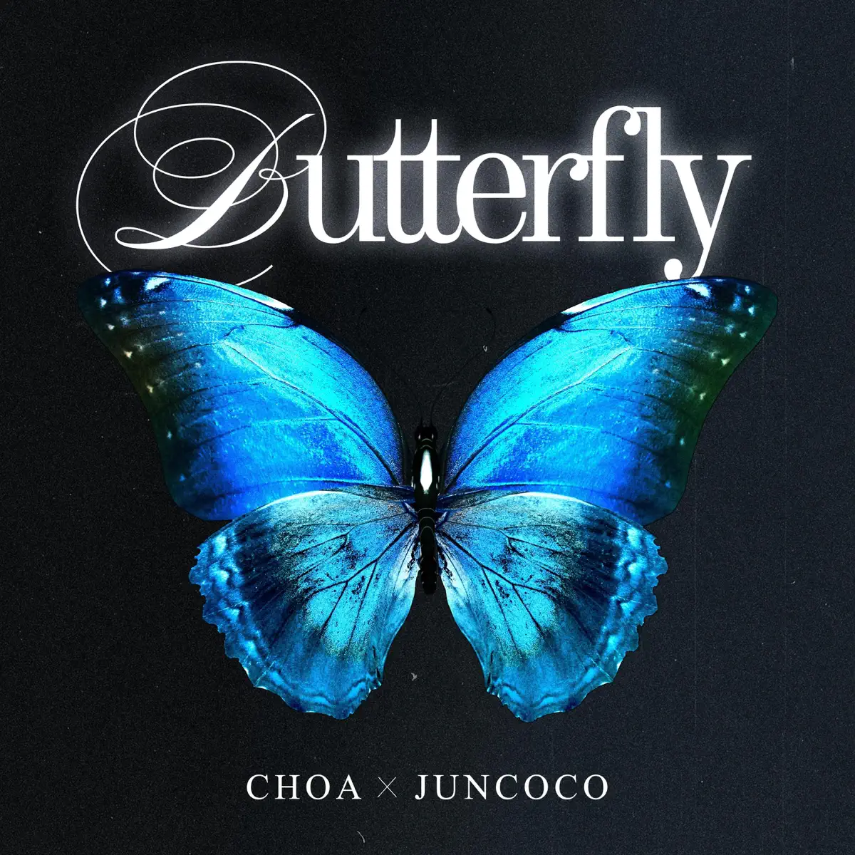 Cho A & Juncoco - Butterfly - Single (2023) [iTunes Plus AAC M4A]-新房子