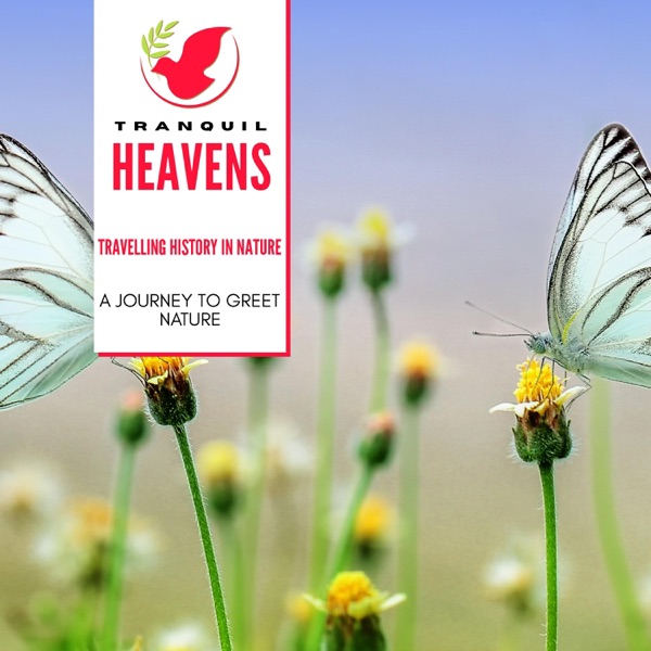 Travelling History in Nature- A Journey to Greet Nature