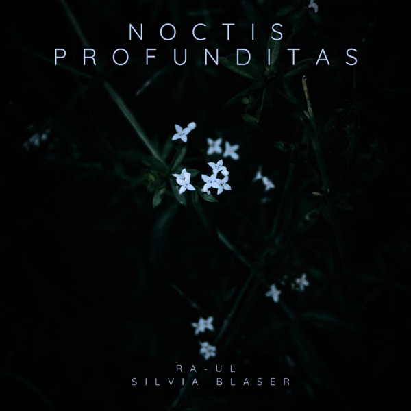 Noctis Profunditas - Single