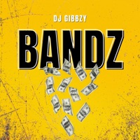 Bandz - Single - DJ Gibbzy