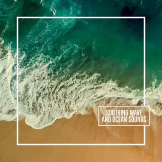 Ambient Ocean Waves by Relaxed Minds & Silent Waves song reviws