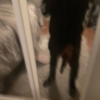 At the Top - Single - Creepa nation