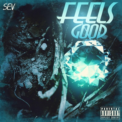 Feels Good - Single