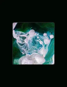 Ascolta cablesalad, guarda video musicali, leggi la biografia, vedi le date del tour & altro!