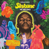 The Anthem (feat. Stout) - Sinkane