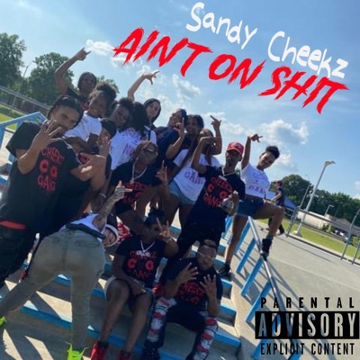 Ain't on Shit - Single