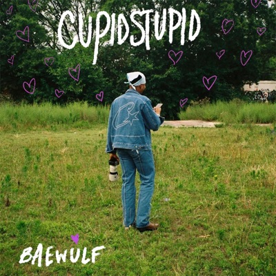 Cupidstupid - Single