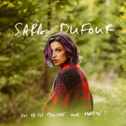 On va-tu prendre une marche? - Sara Dufour Cover Art