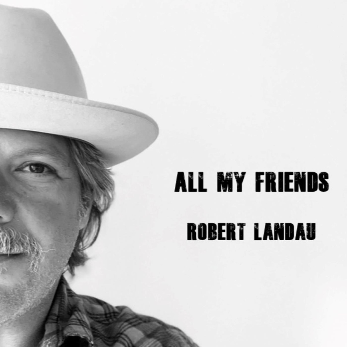 A Thousand Little Lies by Robert Landau on Apple Music