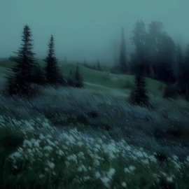 Sidewalks (feat. Endcreed) DONTRESISTCHANGE