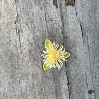 Why? (feat. Samy, Jbone, 0sonarly & ossa) - Single - 0kteo