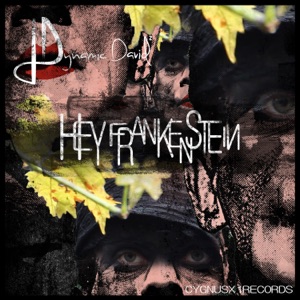 Hey Frankenstein (DG mix)