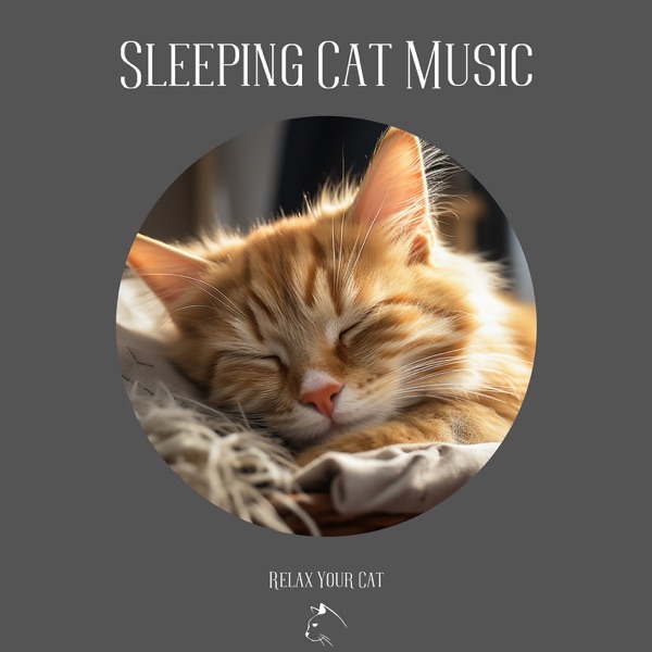 Sleeping Cat Music