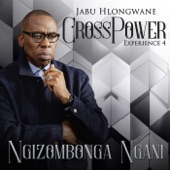 Crosspower Experience 4 - Ngizombonga Ngani (Live) [Alternate] artwork