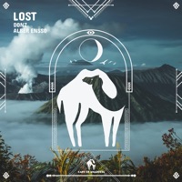 Lost - Single - Donz, Alber Ensso & Cafe De Anatolia