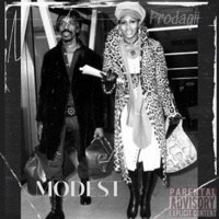 Modest - Single - Prodagii