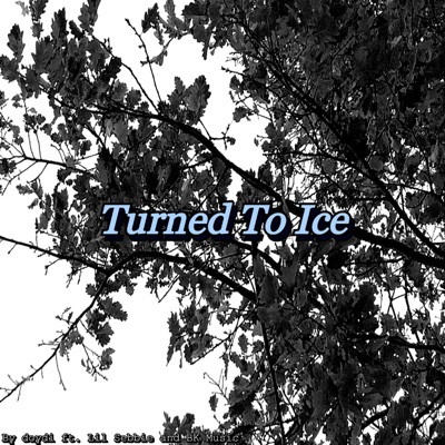 TURNED TO ICE (feat. Lil Sebbie & BK Music) - Single