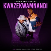 Kwazekwamnadi (feat. Sbuda Maleather & Pabi Cooper) artwork