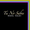 Tu No Sabes - Single