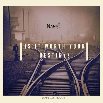 Is It Worth Your Destiny? - Single